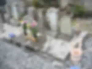 墓じまい前の墓地の様子